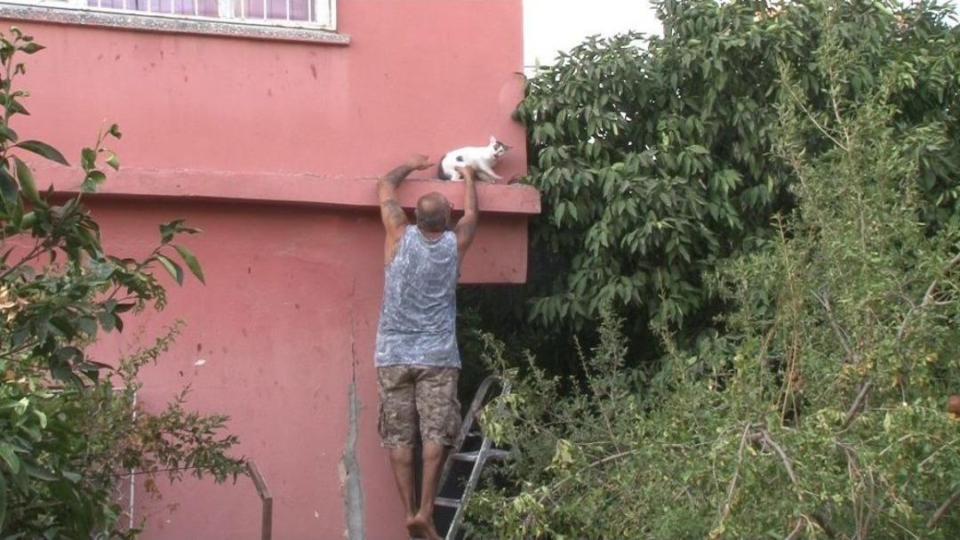 Evin Balkonunda Mahsur Kalan Kediyi Vatandaşlar Kurtardı