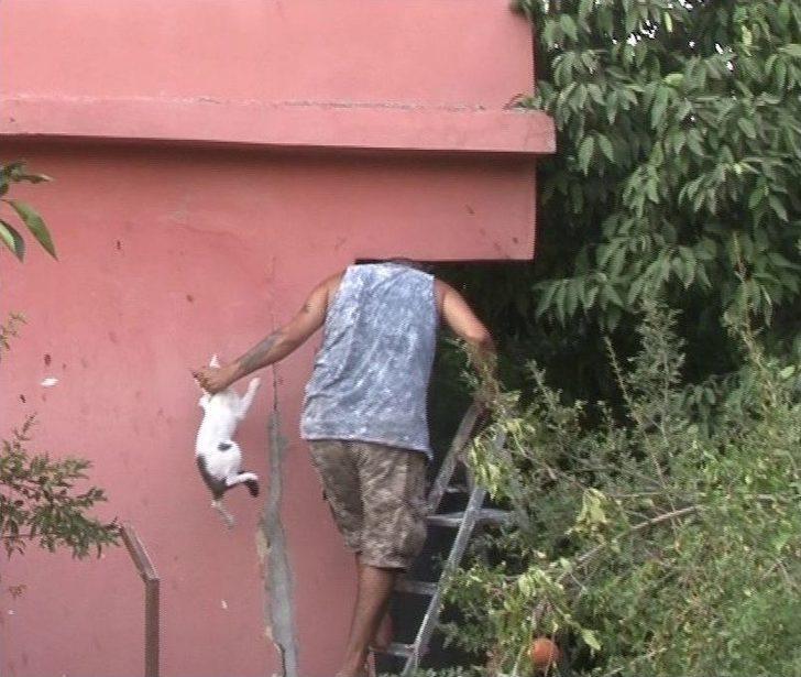 Evin Balkonunda Mahsur Kalan Kediyi Vatandaşlar Kurtardı G2