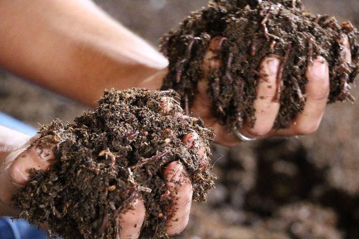 (özel Haber) Trafik, Beton, Gürültü, Keşmekeş.. Bir Anda Karar Verdi G4