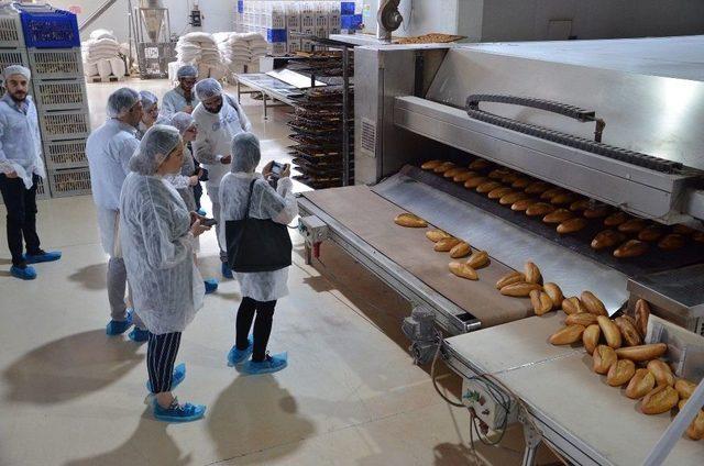 Gençlerin Marka Ekmekte Tercihi Halk Ekmek
