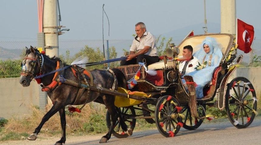 Yeni Evlenen Çiftin Faytondan Gelin Arabası Hayali Gerçek Oldu