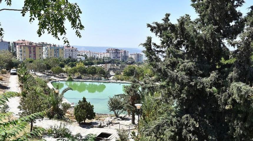 Yedig&ouml;ller Yeniden Doğuyor