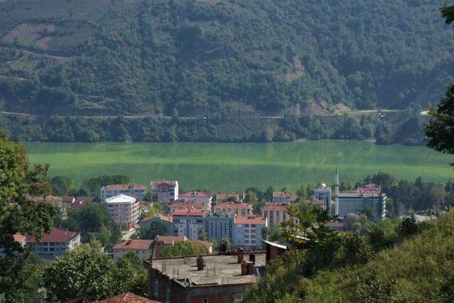 Suat Uğurlu Baraj Gölü’nde Alg Patlaması