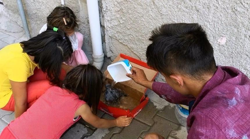 &Ccedil;ocuklar Yaralı G&uuml;vercin İ&ccedil;in Seferber Oldular