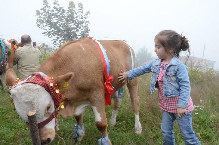 Çambaşı Yaylası Festivali 2’nci Gününde G3