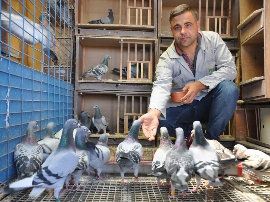 Mesafe Tanımayan G&uuml;vercin Sahibine Kupa Kazandırdı