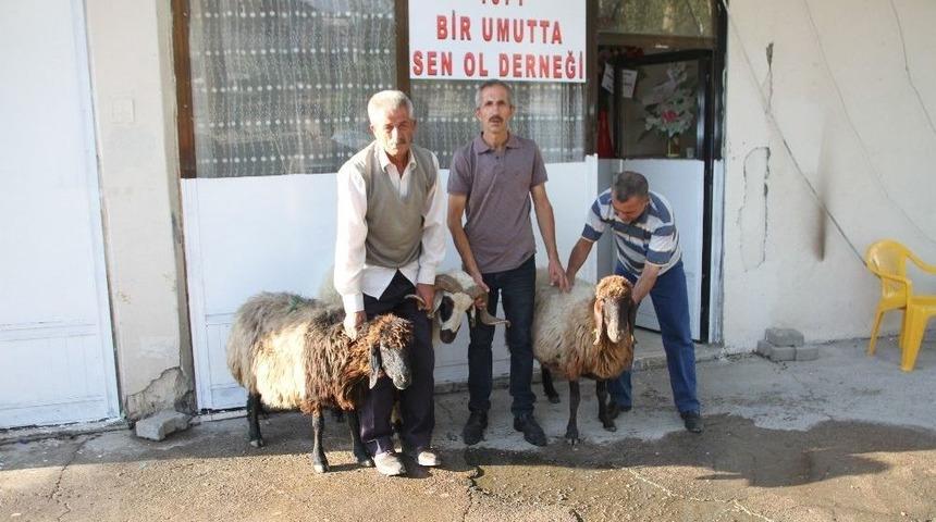 1071 Bir Umutta Sen Ol Derneği İhtiya&ccedil; Sahipleri İ&ccedil;in Kurban Kesti