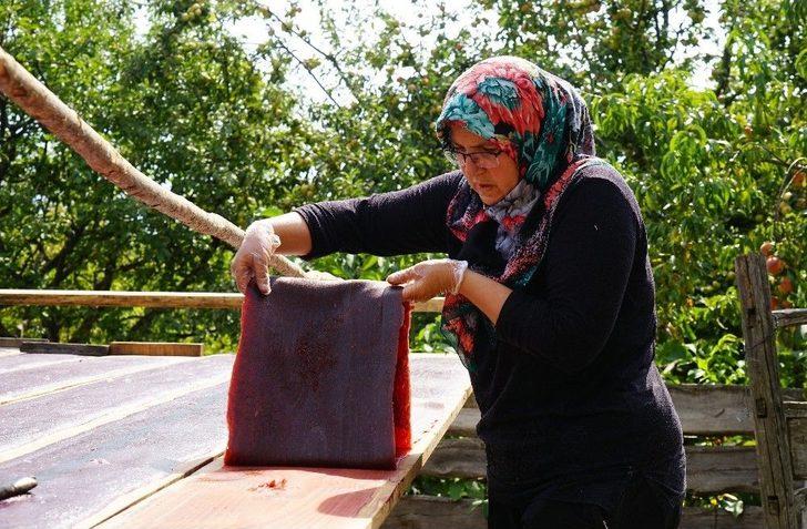 (özel) Osmanlı Mutfağının Vazgeçilmez Meyvesi Üryani Eriğinin Hasadı Başladı G4