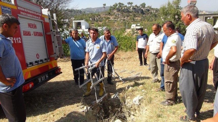 Çiftçilerin Üzümünü Yiyen Yavru Domuzu Düştüğü Kuyudan İtfaiye Kurtardı