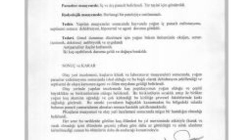 Van&rsquo;daki Kuş &Ouml;l&uuml;mleri