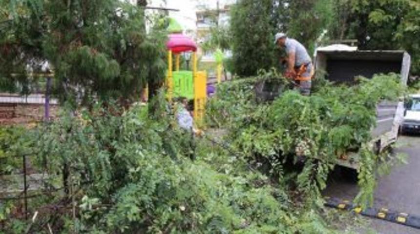 Bartın Belediyesinden Parklarda Temizlik &Ccedil;alışmaları