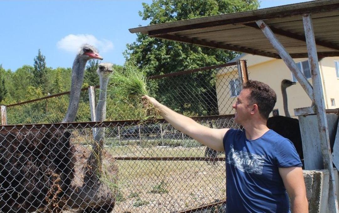 1,5 Ayda Yumurtadan &Ccedil;ıkıyor, Tanesi 500 Liradan Alıcı Buluyor