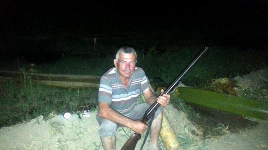 Aydın’da Domuzlar, Çiftçinin Uykusunu Kaçırdı