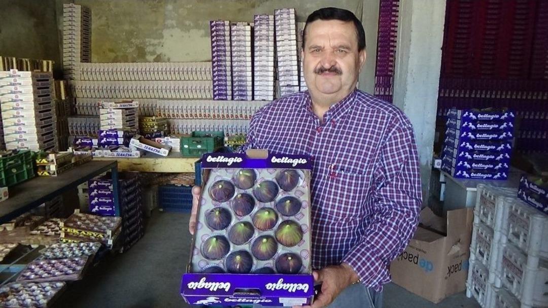 Siyah İncir Fiyatı D&ouml;vizi Solladı