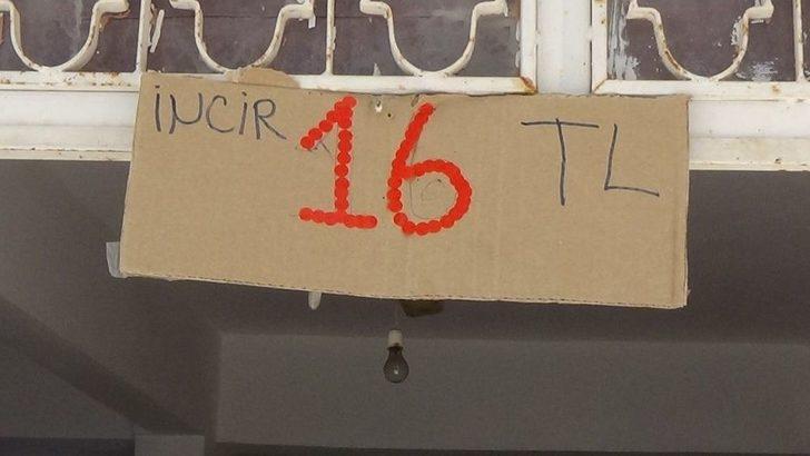 Siyah İncir Fiyatı Dövizi Solladı G4