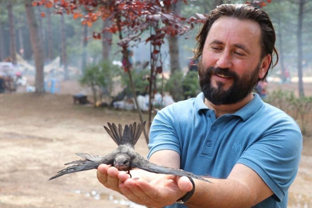 Gizemini Koruyan Ebabil Kuşu Karab&uuml;k&rsquo;&uuml; Yurt Edindi