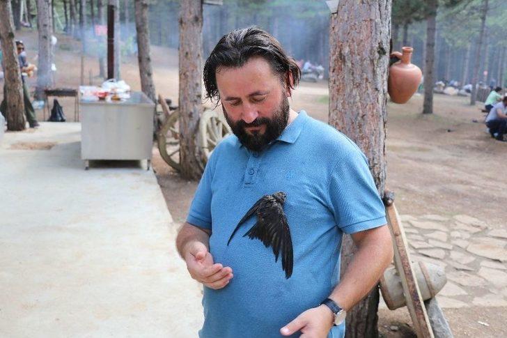 Gizemini Koruyan Ebabil Kuşu Karabük’ü Yurt Edindi G2