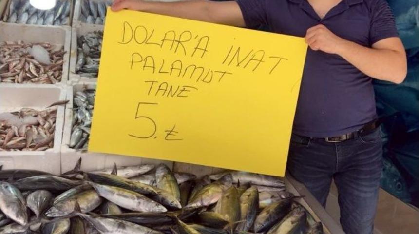 Dolara İnat Palamut 5 Tl