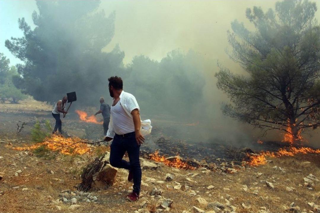 G&ouml;beklitepe Ormanı&rsquo;nda Yangın Devam Ediyor