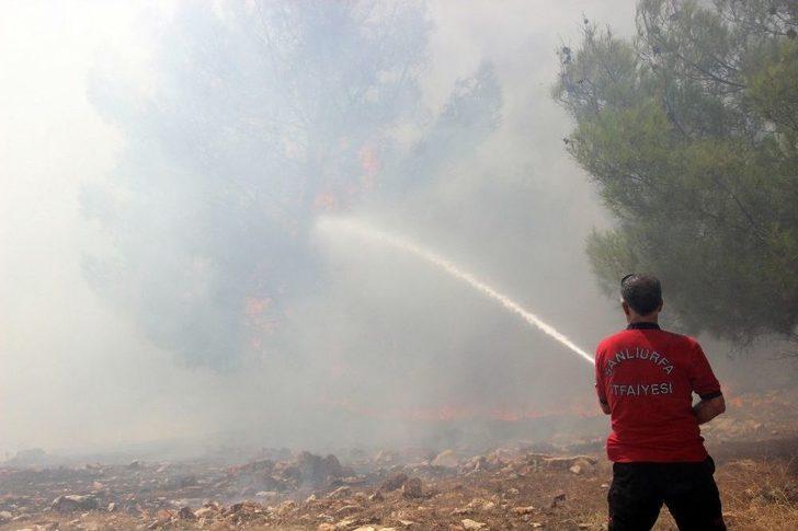Göbeklitepe Ormanı’nda Yangın Devam Ediyor G4