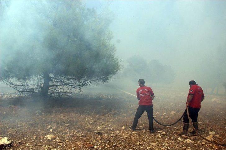 Göbeklitepe Ormanı’nda Yangın Devam Ediyor G5
