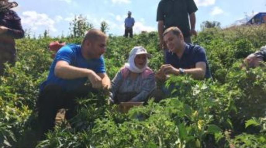 Balıkesir&rsquo;de &Ccedil;ift&ccedil;i Sayısı Azalıyor