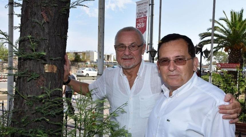 Rus İş Adamı 18 Yıl &Ouml;nce Trabzon&rsquo;da Diktiği Ağacı G&ouml;r&uuml;nce Duygulandı