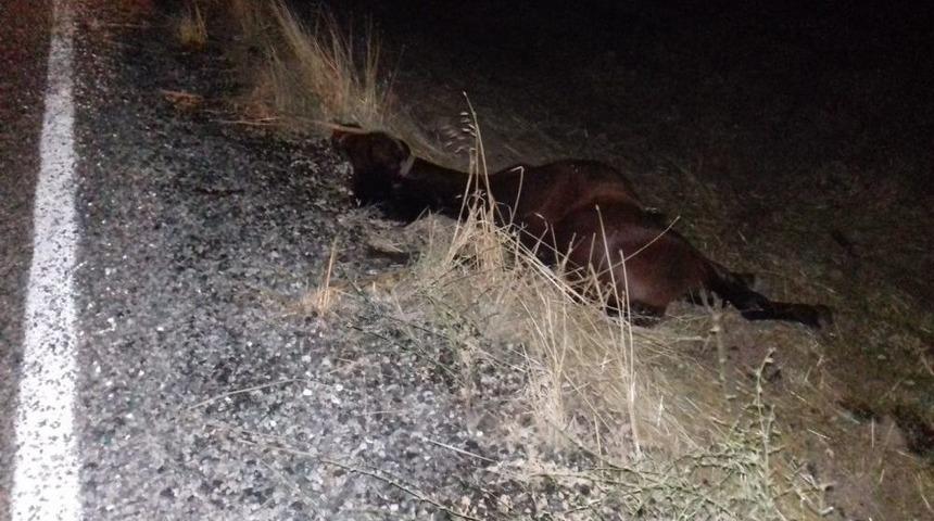 Otomobil Ata &Ccedil;arptı: 3 Yaralı