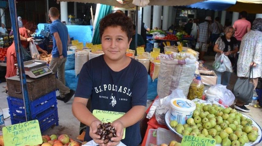 Sinop Kestanesi Tezgahlarda Yerini Aldı