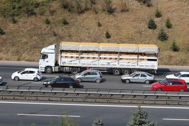 Tem’de Dönüş Yoğunluğu Sürüyor