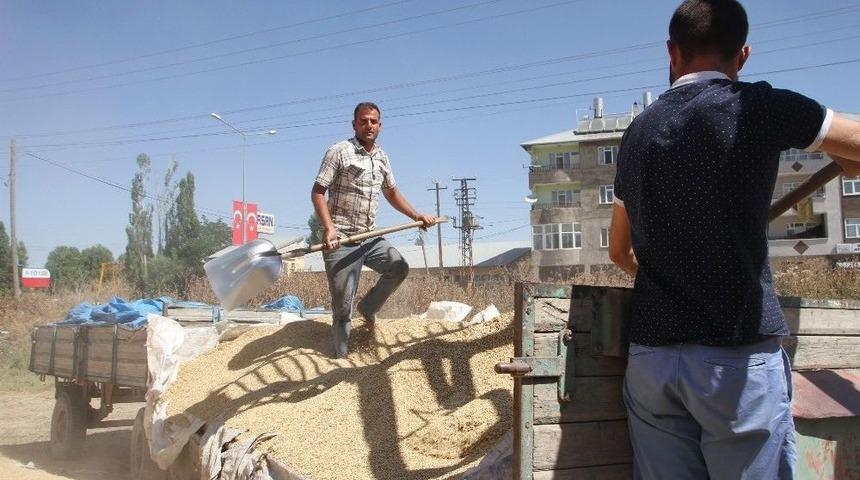 Malazgirt&rsquo;te Buğday Satışları Başladı