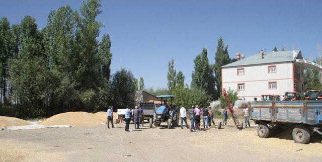 Malazgirt’te Buğday Satışları Başladı