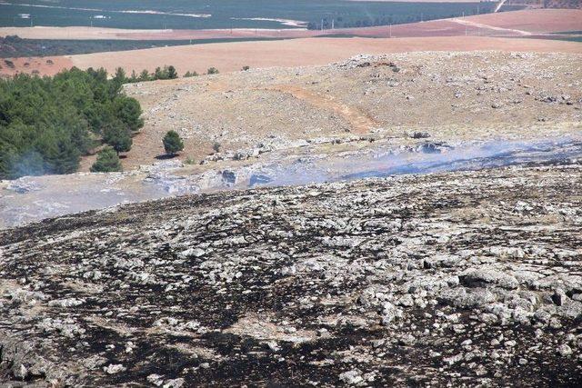 Göbeklitepe Ormanı’nda Korkutan Yangın Kontrol Altına Alındı