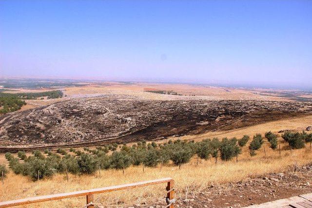 Göbeklitepe Ormanı’nda Korkutan Yangın Kontrol Altına Alındı