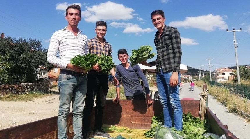 Afyonkarahisarlı Marulcu Fenomen Oldu