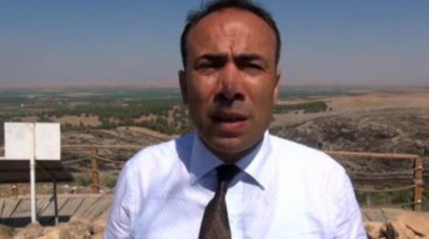 G&ouml;beklitepe Ormanı&rsquo;ndaki Yangın Kontrol Altına Alındı