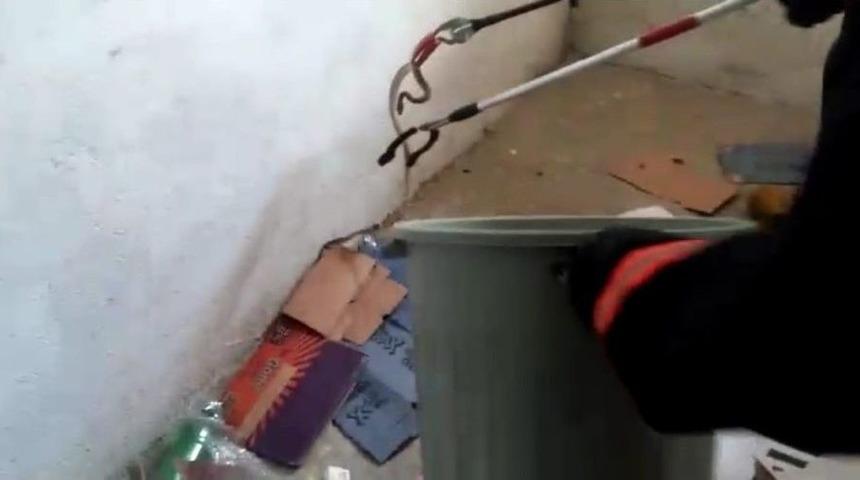 Okula Giren Yılanı İtfaiye Yakaladı