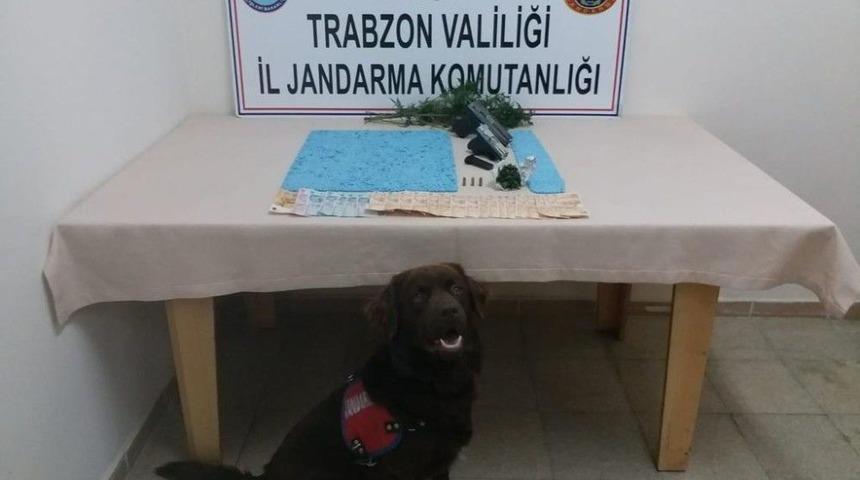 &lsquo;&ccedil;akıl&rsquo;dan Ka&ccedil;ış Yok