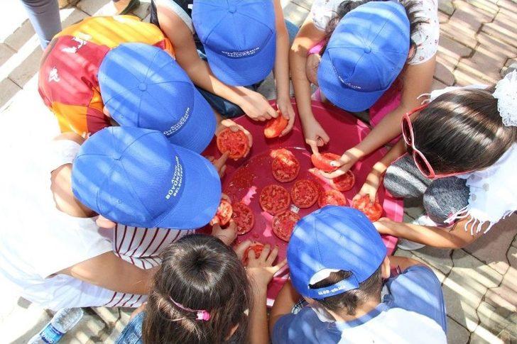 Ata Tohumları Aydın Büyükşehir İle Hayat Buluyor G3