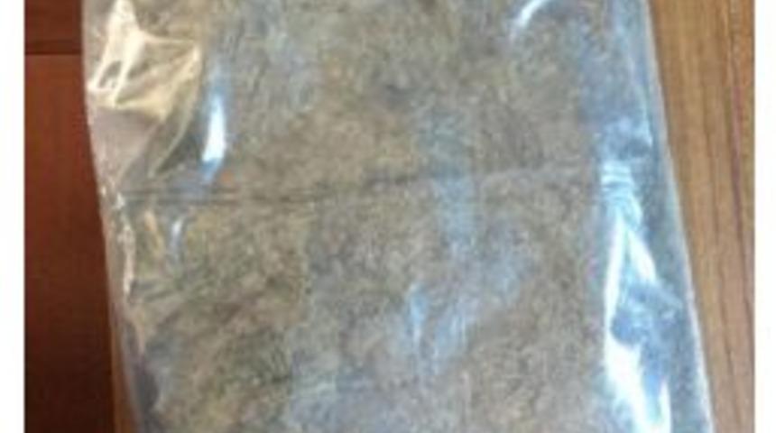 Belindeki Korseden Bonzai &Ccedil;ıktı