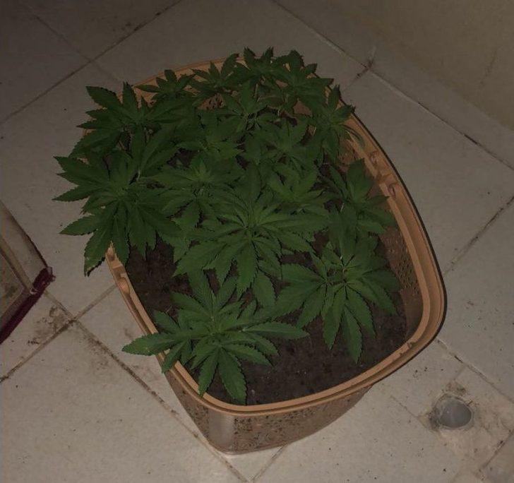 Ankara Polisi, Faili Meçhul Suikasti Aydınlattı G1