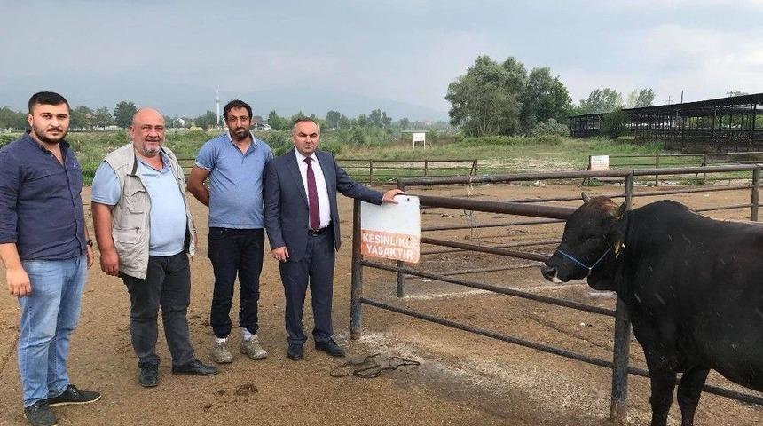Düzce’de Kurban Bayramı Öncesi Tedbirler Hazır