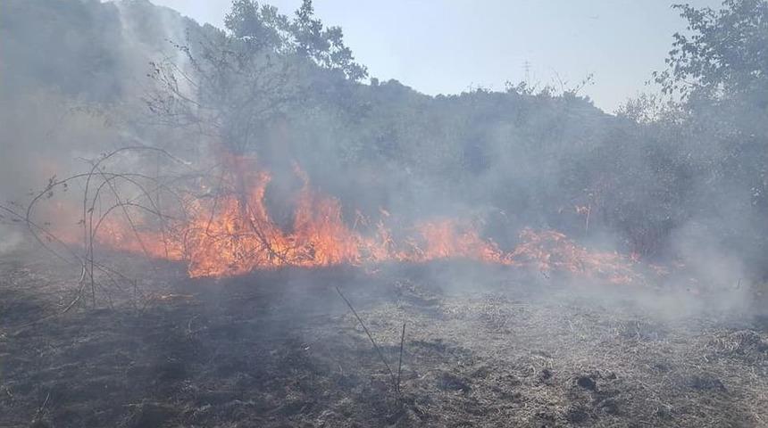 Reşadiye&rsquo;de Orman Yangını