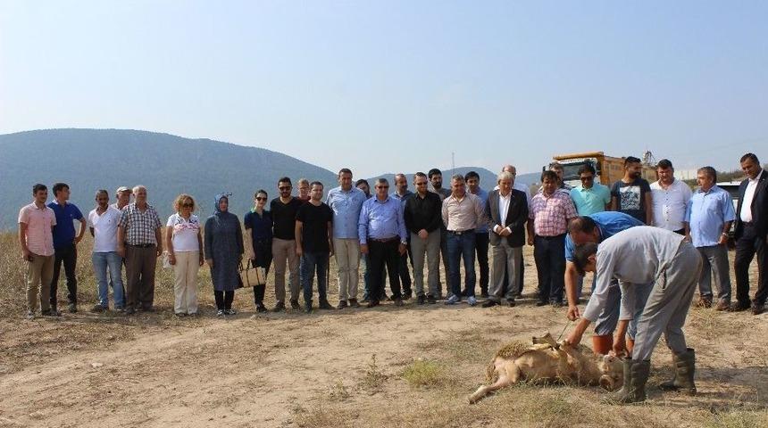 Tayraş İçin Osb’de İlk Kazma Vuruldu