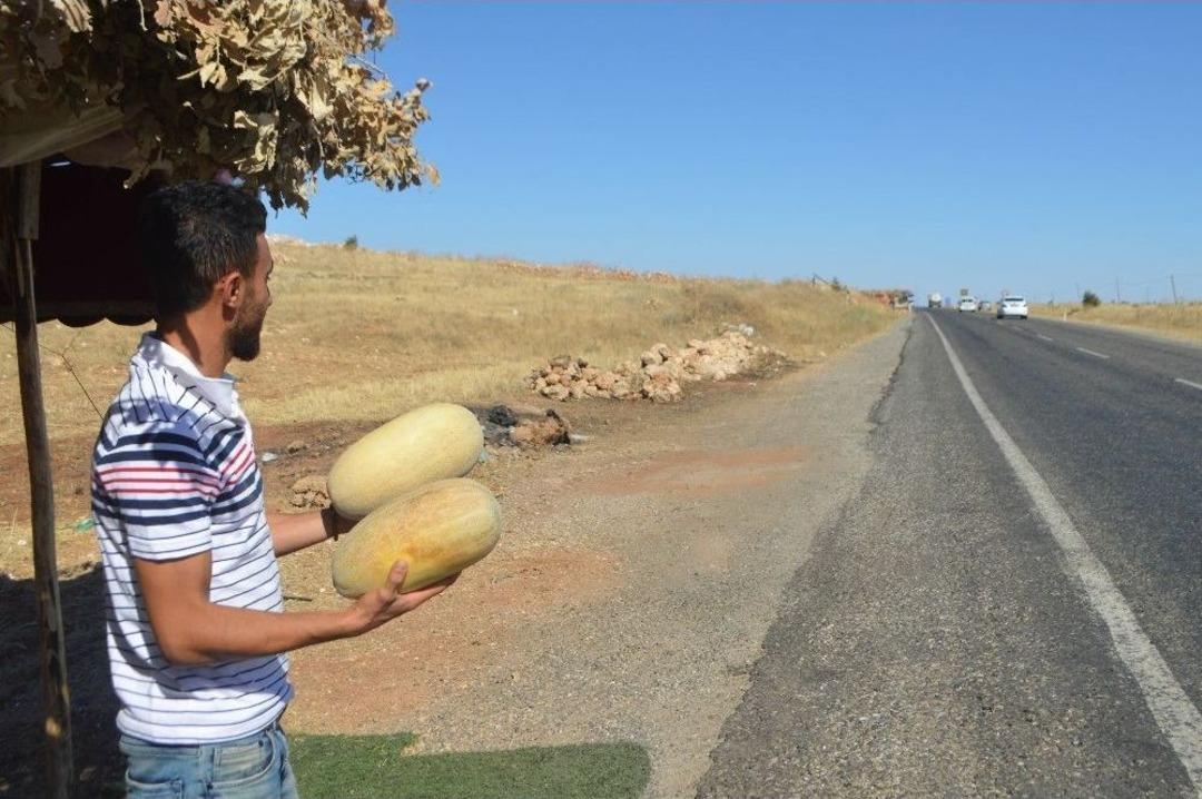 3 Ay Sattıkları Susuz Kavunla 1 Yıl Ev Ge&ccedil;indiriyorlar