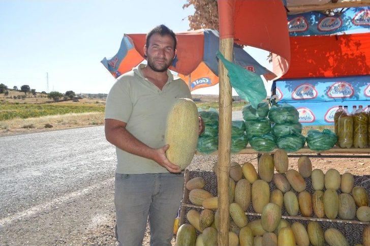 3 Ay Sattıkları Susuz Kavunla 1 Yıl Ev Geçindiriyorlar G2