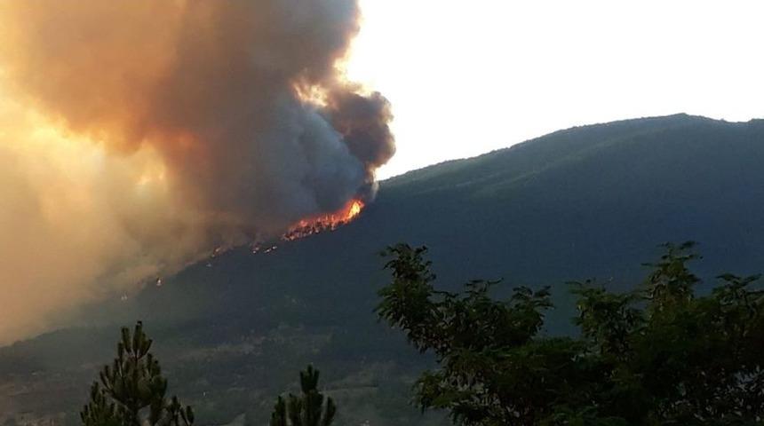 Kastamonu’da Orman Yangını
