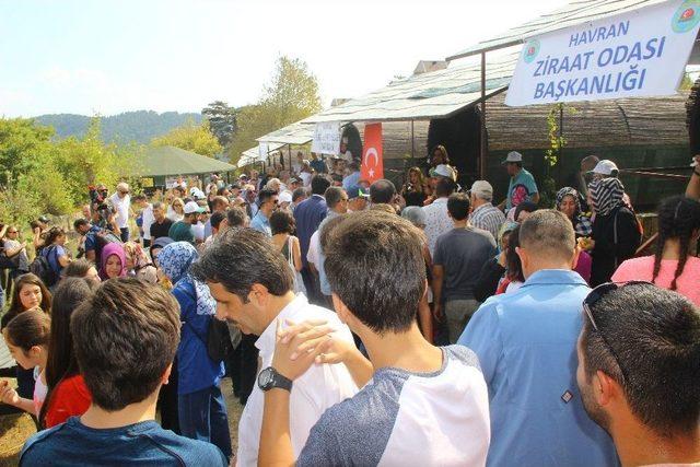 Yağ Ve Bal Festivali Kazdağları’nın Eteklerinde Yapıldı