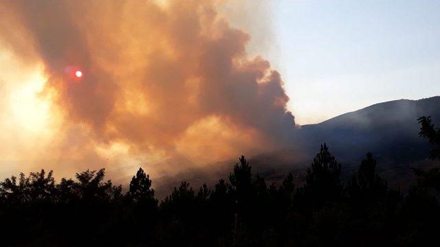 Kastamonu’da Orman Yangını