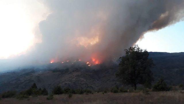 Kastamonu’da Orman Yangını